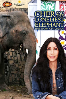 Cher and the Loneliest Elephant