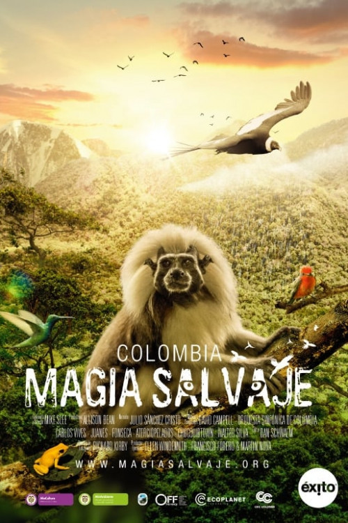 Colombia magia salvaje