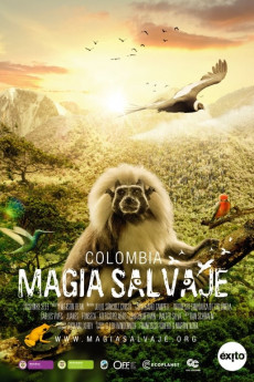 Colombia magia salvaje