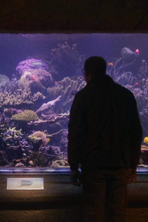 Relaxing Old Footage with Joe Pera