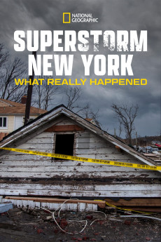 Superstorm New York: What Really Happened