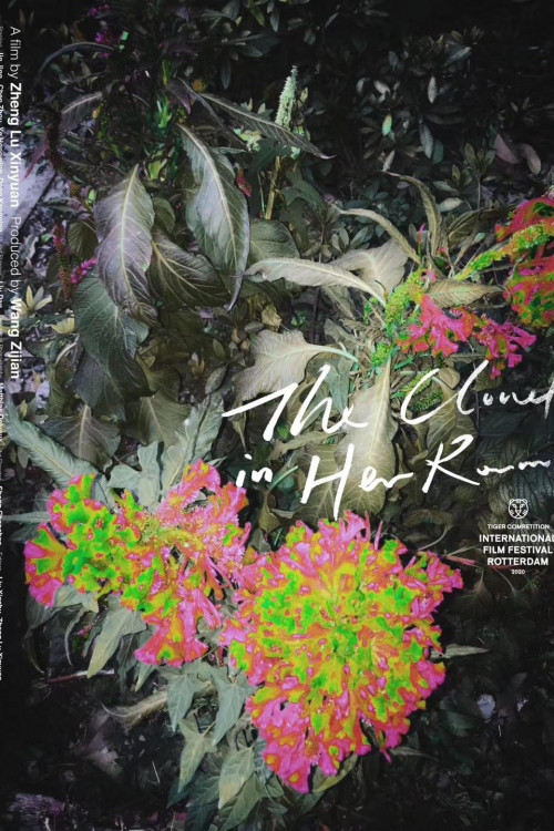 The Cloud in Her Room