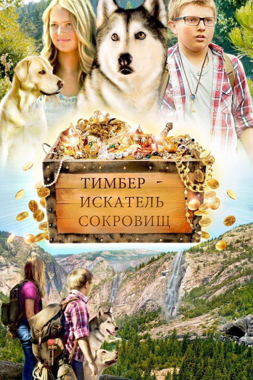 Timber the Treasure Dog