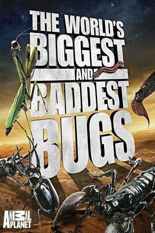 World's Biggest and Baddest Bugs
